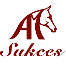 Sukces logo